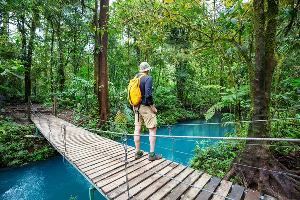 Hiking in green tropical jungle, Costa Rica, Central America