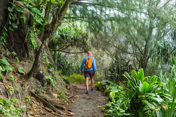 Randonneur Sur Sentier Dans Jungle Verte Hawaï États Unis — Photo