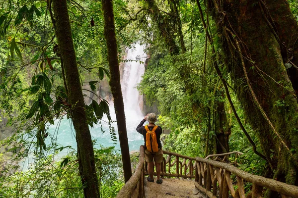 Wandern Grünen Tropischen Dschungel Costa Rica Mittelamerika — Stockfoto