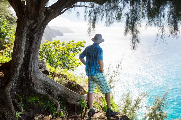 Hiker Trail Green Jungle Hawaii Usa — Stock Photo, Image