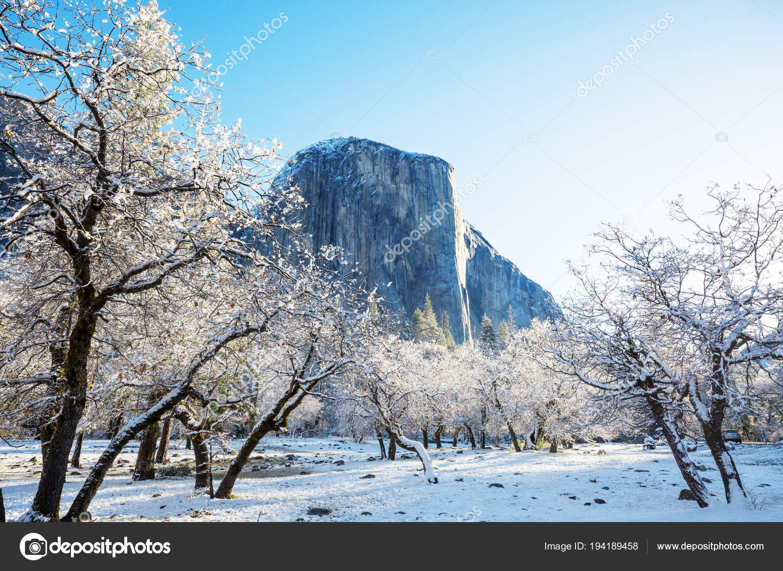 Bellissimi Paesaggi Primaverili Nel Parco Nazionale Dello Yosemite Yosemite Usa Foto Stock C Kamchatka