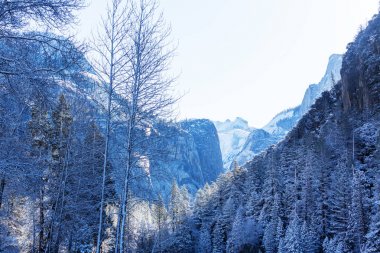 Güzel erken Bahar manzaraları Yosemite Milli Parkı'nda, Yosemite, ABD