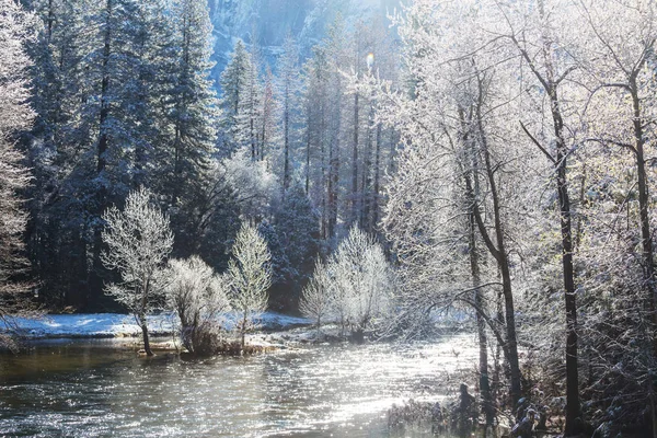 Wunderschöne Frühlingslandschaften Yosemite Nationalpark Yosemite Usa — Stockfoto