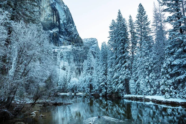 Hermosos Paisajes Primaverales Parque Nacional Yosemite Yosemite — Foto de Stock