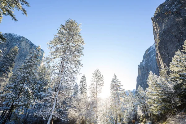 Lindas Paisagens Início Primavera Parque Nacional Yosemite Yosemite Eua — Fotografia de Stock