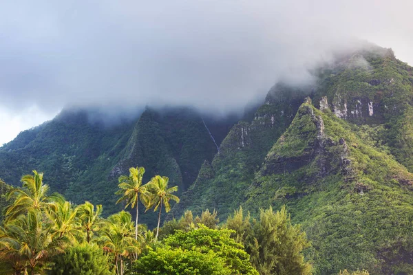 Vista Pitoresca Ilha Havaí — Fotografia de Stock