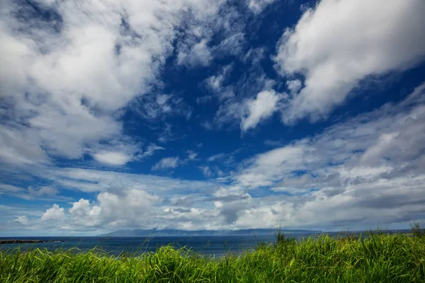 Erstaunliche Hawaiianische Strand Natur Malerische Aussicht — Stockfoto