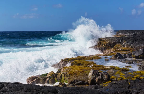 Hawaiian Stranden Natur Natursköna Utsikten — Stockfoto