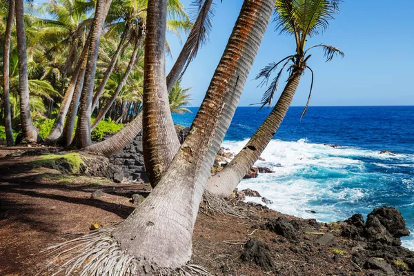 Дивовижний Гавайський Пляж Природа Мальовничий Вид — стокове фото