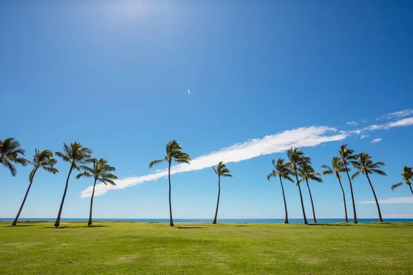 驚くほどのハワイアンビーチ自然風光明媚なビュー — ストック写真