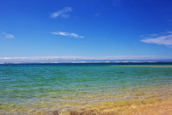 Praia Havaiana Incrível Natureza Vista Cênica — Fotografia de Stock