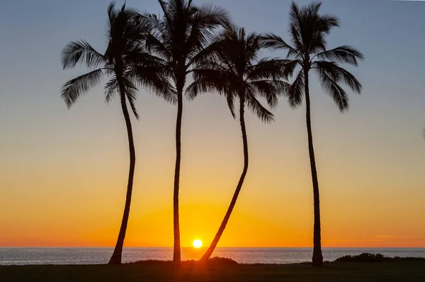 Erstaunliche Hawaiianische Strand Natur Malerische Aussicht — Stockfoto