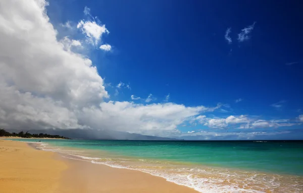 Incroyable Plage Hawaïenne Vue Panoramique Sur Nature — Photo