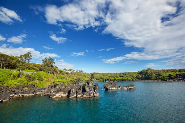 Maui Adası Hawaii Güzel Tropikal Plaj — Stok fotoğraf