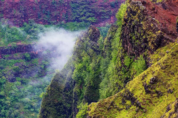 Waimea Canyon Kauai Hawaï — Photo