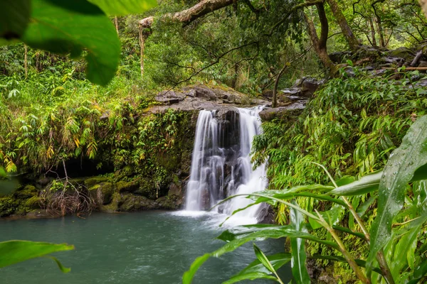 Vackra Vattenfall Tropisk Regnskog Hawaii Island Usa — Stockfoto