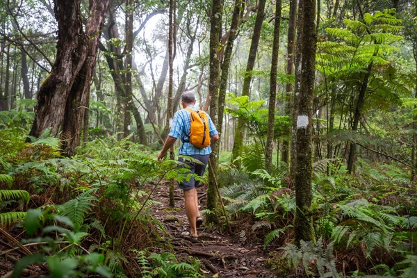 Hiker Trail Green Jungle Hawaii Usa — Stock Photo, Image