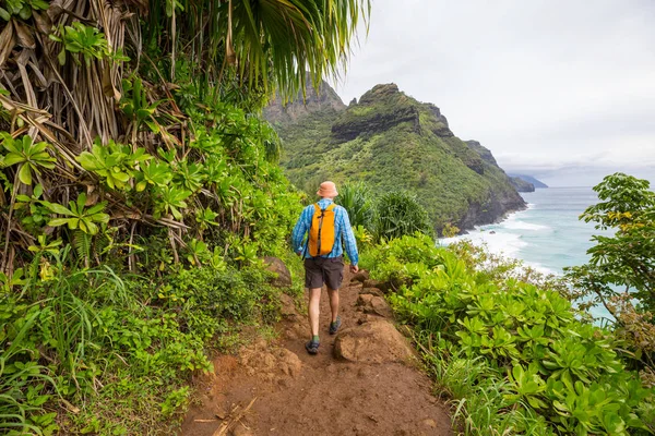 Randonneur Sur Sentier Dans Jungle Verte Hawaï États Unis — Photo