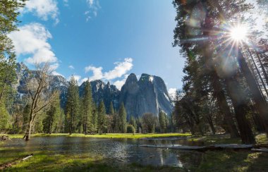 Güzel erken Bahar manzaraları Yosemite Milli Parkı'nda, Yosemite, ABD