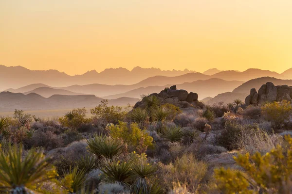 Красивые Пейзажи Американской Пустыни — стоковое фото