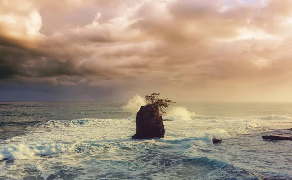 Beautiful Tropical Pacific Ocean Coast Costa Rica — Stock Photo, Image