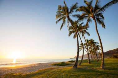 Hawaii, Oahu adasındaki güzel manzaralar.