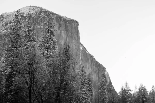 Krajobrazy Piękne Wczesną Wiosną Parku Narodowym Yosemite Yosemite Usa — Zdjęcie stockowe