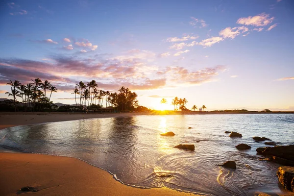 令人惊叹的夏威夷海滩自然景观 — 图库照片