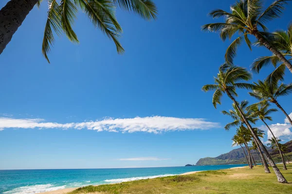 Incredibile Spiaggia Hawaiana Paesaggio Naturale — Foto Stock