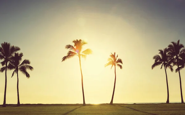 Fantastiska Hawaiian Stranden Natur Landskap — Stockfoto