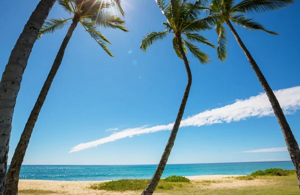 令人惊叹的夏威夷海滩自然景观 — 图库照片