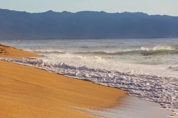 Incroyable Plage Hawaïenne Paysage Nature — Photo