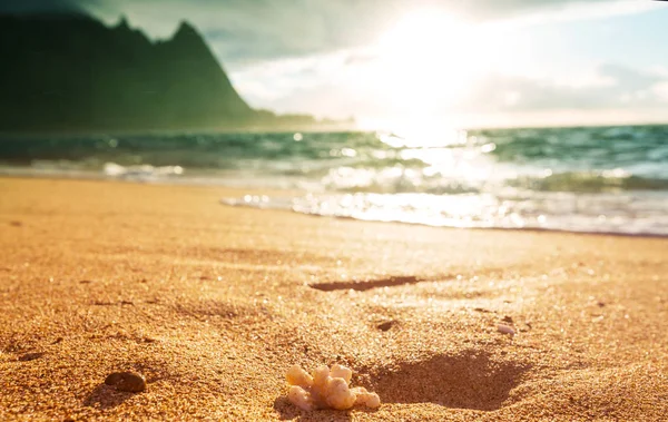 Belle Scène Tunnels Beach Sur Île Kauai Hawaï États Unis — Photo