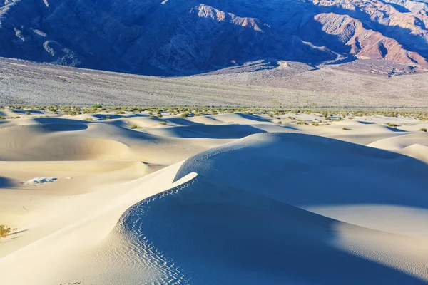 Dunas Areia Death Valley National Park Califórnia Eua — Fotografia de Stock