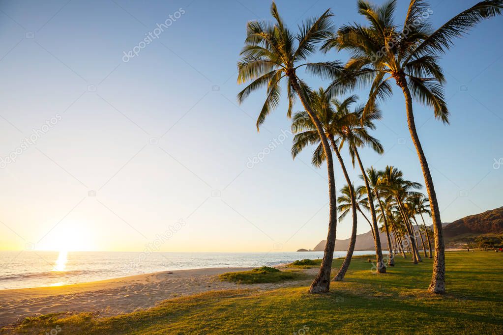 Beautiful landscapes in Oahu island, Hawaii