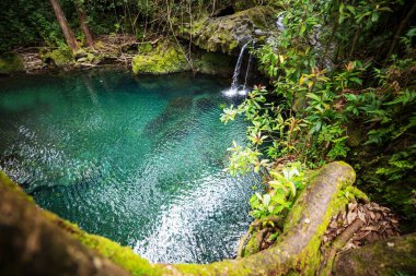 Hawaii Adası, ABD tropikal yağmur ormanlarında güzel şelale