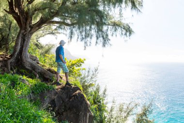 Hike in Na Pali coast in Kauai icland, Hawaii clipart