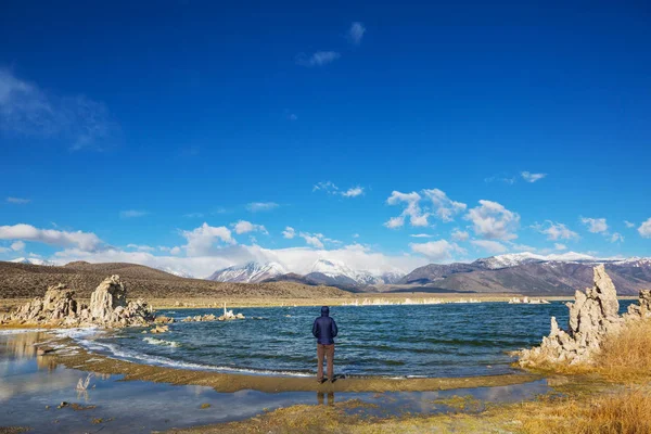 Homme Sur Les Formations Lac Mono — Photo