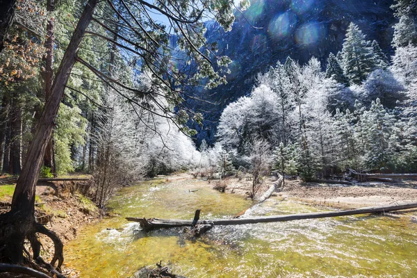 美しい早春風景ヨセミテ国立公園 ヨセミテ アメリカ合衆国 — ストック写真