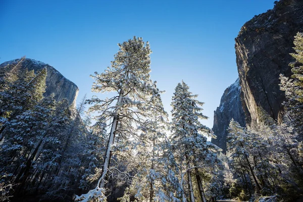 Прекрасные Пейзажи Ранней Весны Национальном Парке Йосемити Йосемити Сша — стоковое фото