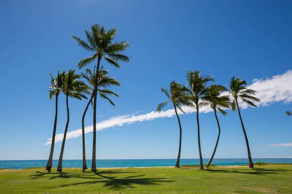 Εκπληκτικό Τοπίο Της Φύσης Της Χαβάης Παραλία — Φωτογραφία Αρχείου