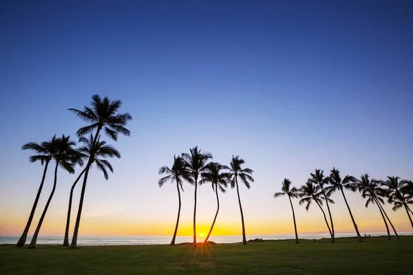 Incredibile Spiaggia Hawaiana Paesaggio Naturale — Foto Stock