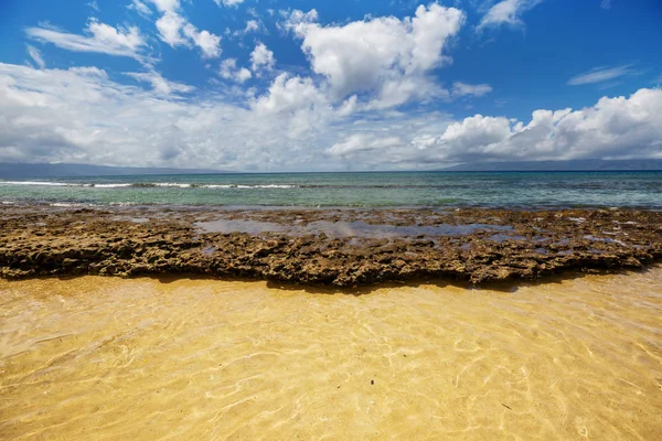 Şaşırtıcı Havai Plaj Doğa Manzara — Stok fotoğraf