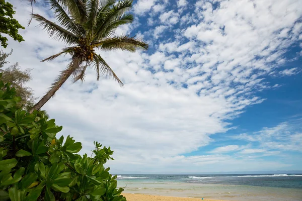 Erstaunliche Hawaiianische Strand Naturlandschaft — Stockfoto