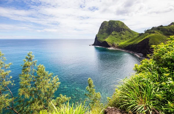 Maui Adası Hawaii Güzel Tropikal Plaj — Stok fotoğraf