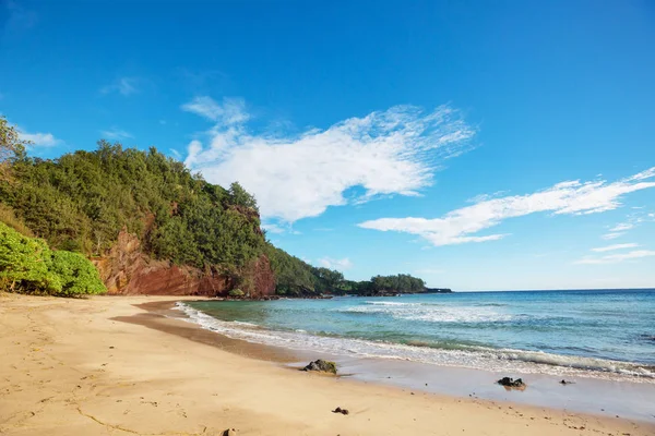 Pięknej Tropikalnej Plaży Wyspie Maui Hawaje — Zdjęcie stockowe