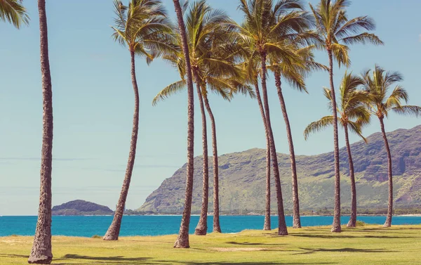 Όμορφα Τοπία Στο Νησί Oahu Χαβάη — Φωτογραφία Αρχείου
