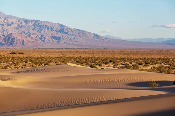 Dunas Arena Parque Nacional Death Valley California —  Fotos de Stock