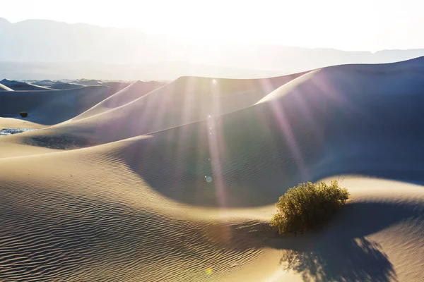 Sanddünen Death Valley Nationalpark Kalifornien Usa — Stockfoto
