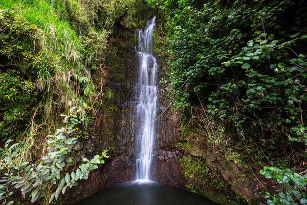 Cachoeira Tropical Bonita Havaí — Fotografia de Stock